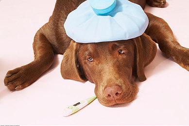 《星刃》官方Web动态漫画公开 讲述伊芙降临地球前外传故事